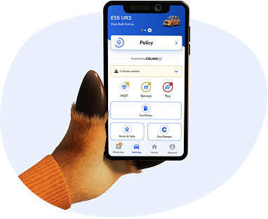 Esure App